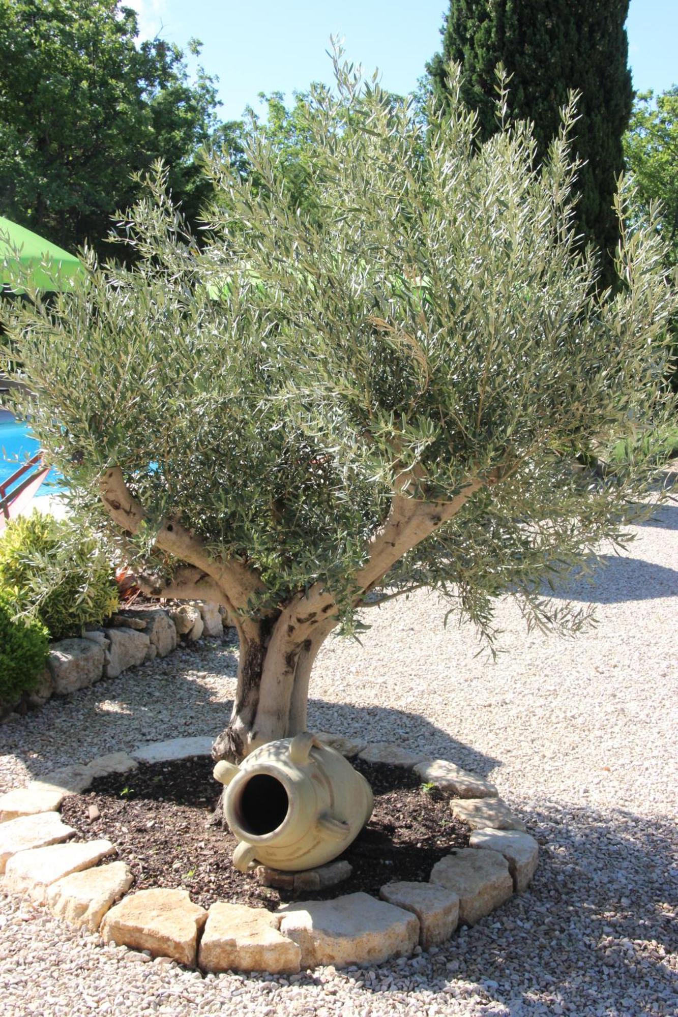 Murs  Le Hameau Fleur De Pierres , Chambre , Gite Et Table D'Hotes מראה חיצוני תמונה